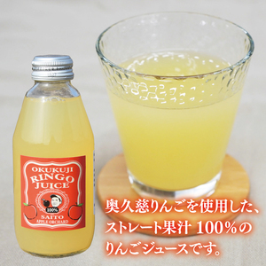 斉藤りんご園の奥久慈りんごジュース（ストレート）250ml×6本セット（化粧箱入り）（CG006）