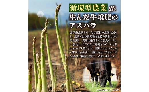 【先行予約】北海道産 アスパラ 900g【5月発送】｜ふるさと納税 野菜 アスパラガス 北海道 石狩市 