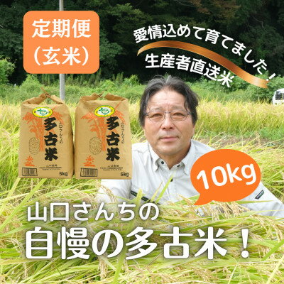 【ふるさと納税】【毎月定期便】山口さんちの多古米コシヒカリ(玄米)10kg全6回【配送不可地域：離島】【4079908】