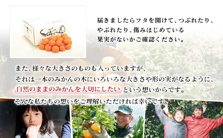 【先行予約】＜無茶々園 温州みかん 約5kg＞ 果物 くだもの ミカン 蜜柑 柑橘 フルーツ うんしゅうみかん 贈り物 ギフト おいしい 期間限定 季節限定 食べて応援 特産品 愛媛県 西予市 【常温
