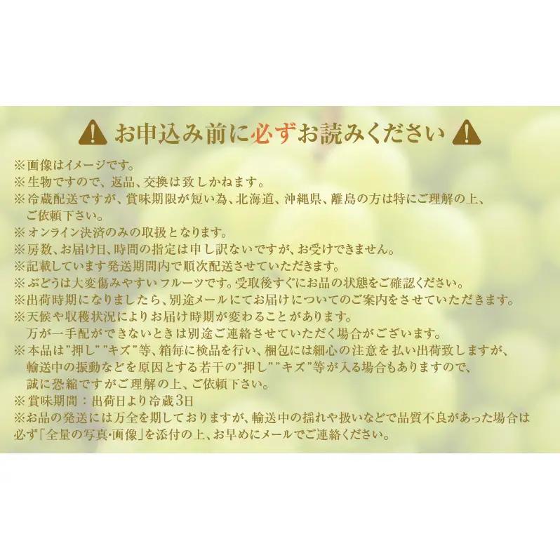 シャインマスカット ぶどう 訳あり 岡山県産 シャインマスカット【2房 約1kg】【冷蔵・先行予約】