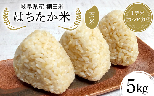 岐阜県産 棚田米 1等米コシヒカリ はちたか米 玄米5kg F4N-2618