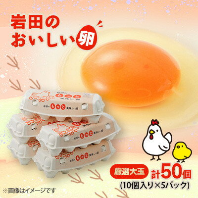 【ふるさと納税】【毎月定期便】岩田のおいしい卵厳選大玉45個+破卵保障5個 (10個入り×5パック)全3回【配送不可地域：離島】【4079452】