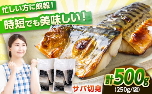 ノルウェー産 塩サバ 切り身 500g（250g×2袋） 若狭小浜加工 あえて骨付き 鯖 さば サバ 小浜市 / まるほ商店 【配送不可地域：北海道・沖縄・離島】 [BFCS012]