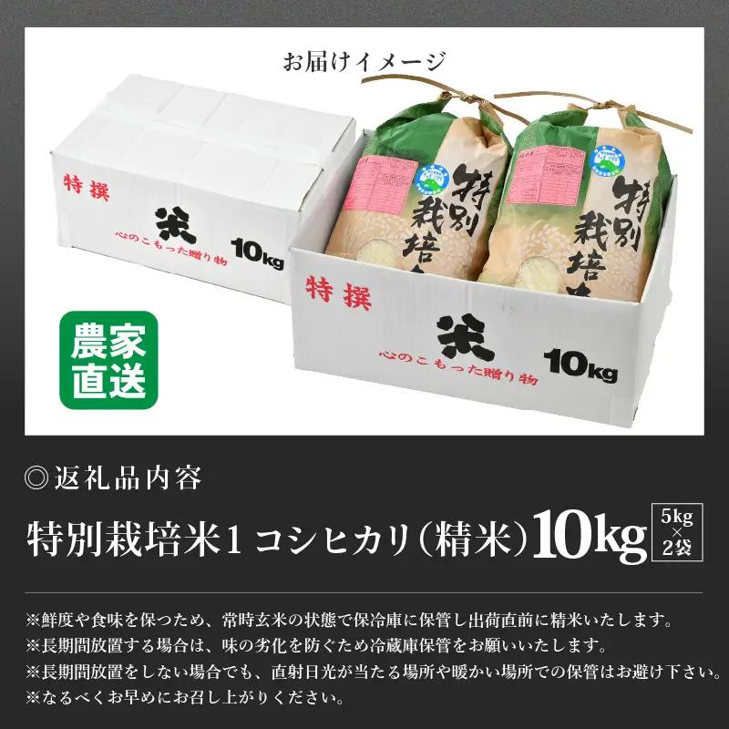 【先行予約】【令和8年産 新米】コシヒカリ 精米 5kg×2袋（計10kg） 特別栽培米 農薬不使用 化学肥料不使用 ／ 残留農薬ゼロ 高品質 鮮度抜群 福井県産 ブランド米 白米 ※2026年9月下
