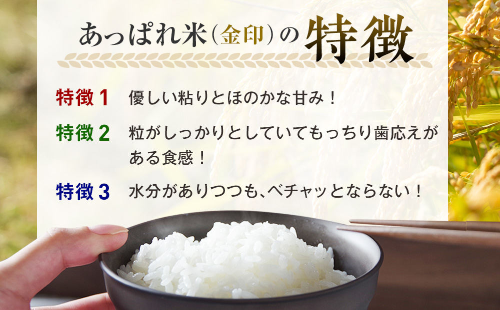 【令和8年産・早期予約受付】北海道産 津別町あっぱれ米金印（精米）10kg