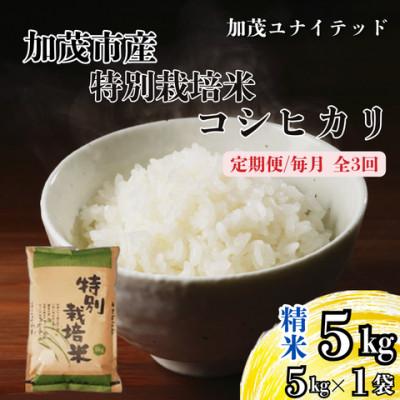ふるさと納税 加茂市 【発送月固定定期便】特別栽培米コシヒカリ　精米　5kg　10月上旬より順次発送全3回