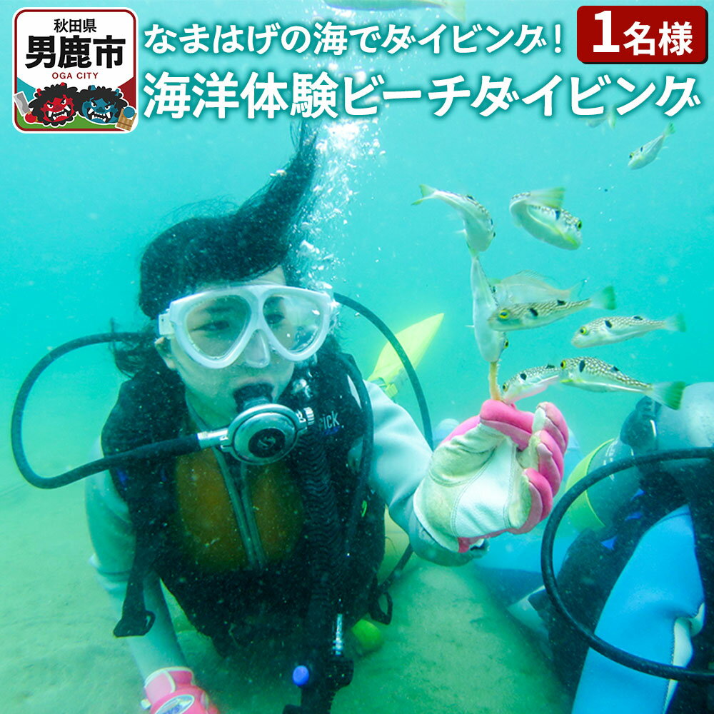 【ふるさと納税】【なまはげの海でダイビング！！】 海洋体験ビーチダイビング 1名様 秋田県 男鹿半島 男鹿市