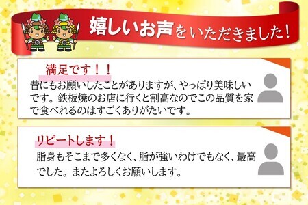 【3カ月定期便】佐賀牛 ヒレステーキ 200g×4枚(計12枚)【佐賀牛 ヒレステーキ フィレステーキ ヒレ肉 フィレ やわらか 上質 サシ 美味しい クリスマス パーティー イベント お祝い ブラン