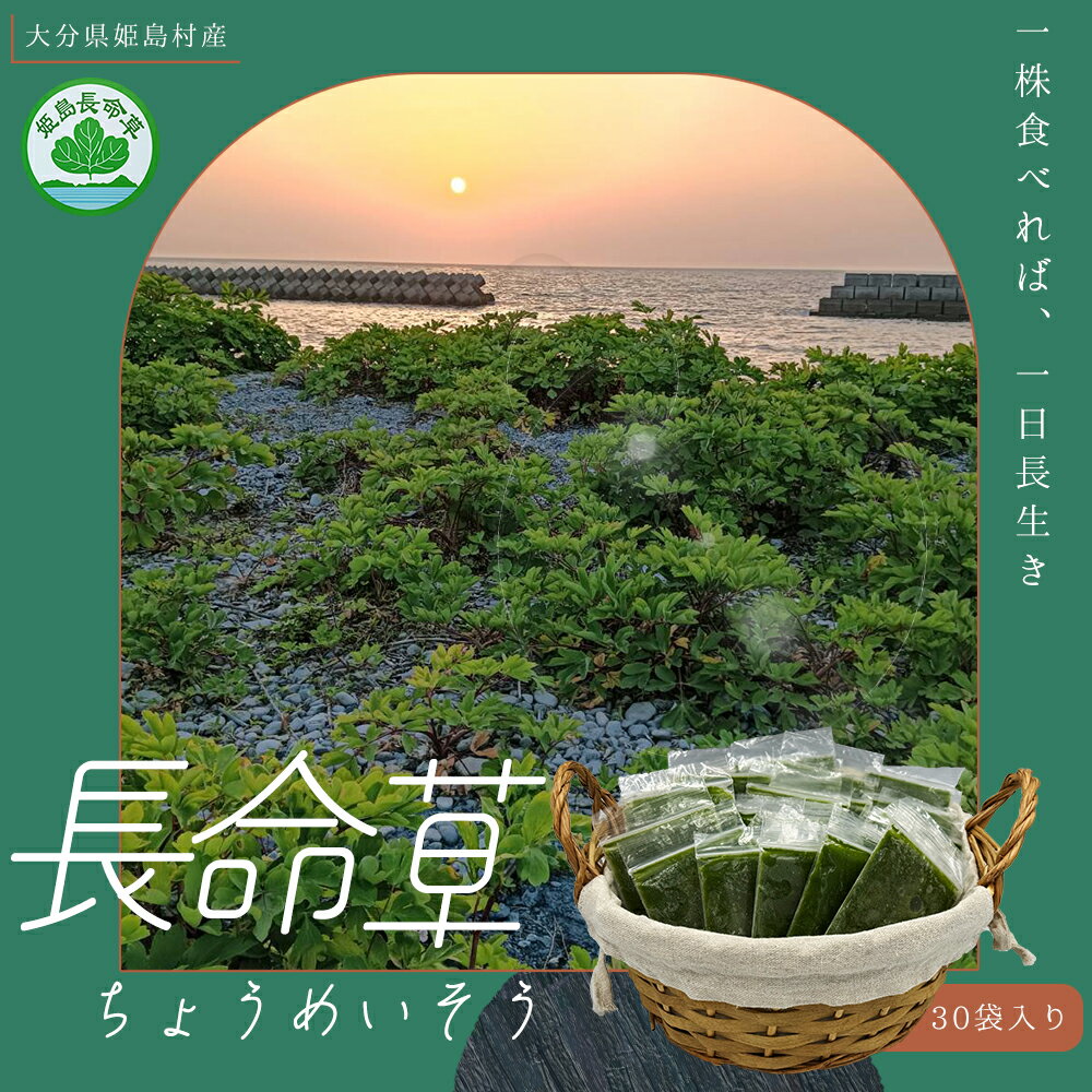 【ふるさと納税】 姫島村産 長命草 ペースト 30袋入り 栄養豊富 パワーフード 大分県 姫島村 姫島 P1