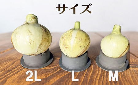 【うしろ農園】【極早生】淡路島洲本市産 新玉ねぎ 3kg×２箱 兵庫県 洲本市 淡路島