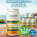 【ふるさと納税】【毎月定期便】【与謝野町産ホップ使用クラフトビール】 ASOBI　350ml ×6本セット全3回【4060418】