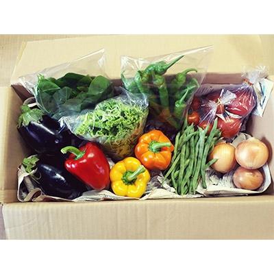 ふるさと納税 土佐町 土佐れいほく野菜【y1】