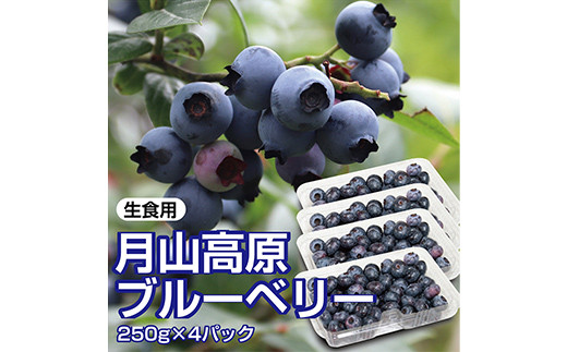 【先行予約 2026年度発送】山形県月山高原産 大澤農園のブルーベリー 250g×4パック 計1kg 生食用 爽やかな甘酸っぱさが魅力です  フルーツ 果物 くだもの 果実 食品 山形県 FSY-1223