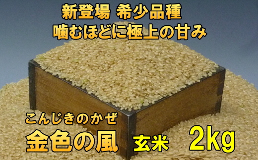 【令和7年産】【玄米2kg】新登場の高級米 岩手県奥州市産 金色の風  玄米2キロ [AC025］