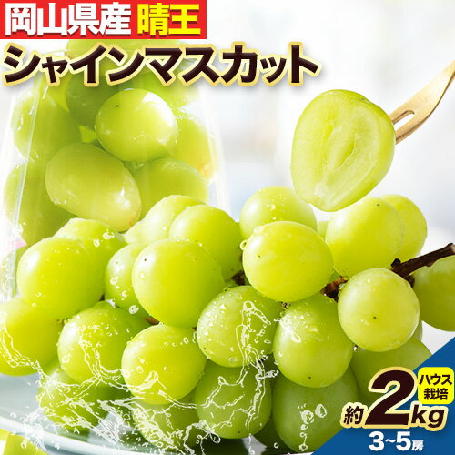 【ふるさと納税】【2025年 先行受付】シャインマスカット 3〜5房 約2kg ハウス栽培 有限会社土方商店《7月上旬-8月上旬頃出荷》岡山県 備前市 岡山県産 ブドウ ぶどう 葡萄 フルーツ 果物 お取り寄せ お取り寄せフルーツ 送料無料