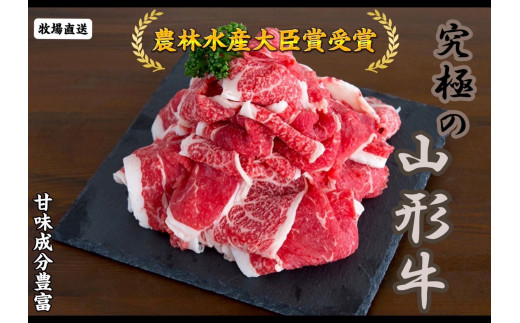 08-27-003　農林水産大臣賞受賞　特選天童牛"和の奏"切り落とし500g