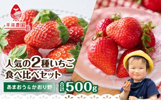 
                  人気の2種いちご食べ比べセット「あまおう 250g」＋「かおり野 250g」合計500g｜2026年12月～順次発送＜ひらい観光農園＞ いちご イチゴ 苺 旬 期間限定 数量限定 デザート フルーツ 食べ比べ 福岡県 八女市
                