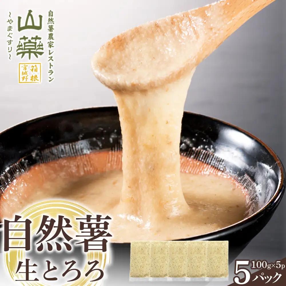 自然薯の味をお楽しみください。自然薯生とろろ100ｇ×５ｐセット【とろろ 極上とろろ 山芋 箱根 お家用 家庭用 国産 セット商品 自然薯 味付とろろ 神奈川県 小田原市 とろろ】