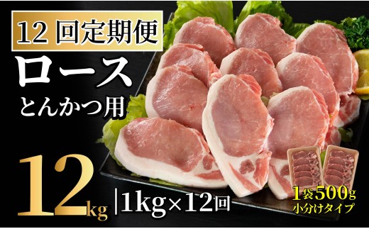 [B612］ 《定期便》長崎県産豚 ロースとんかつ用計1kg(100g×5枚×2) 【12回お届け】