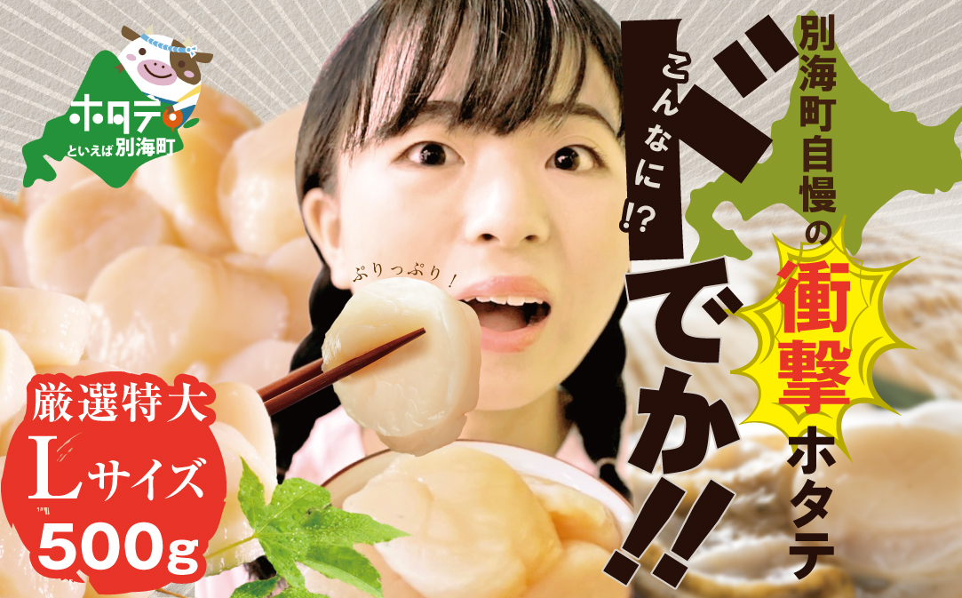 【旅サラダで紹介！】【ホタテ禁輸措置生産地支援品】Lサイズのみ厳選！北海道 野付産ホタテ 500g【be018-0229】（ほたて ホタテ 帆立 貝柱 ホタテ貝柱 大玉 大粒 北海道 別海 野付 ふるさと納税）