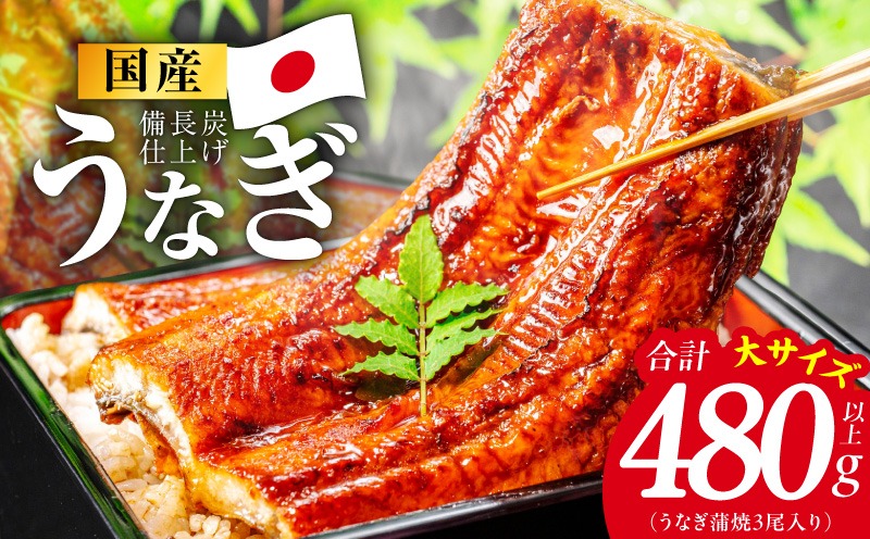 G4237 【特別規格】国産うなぎ蒲焼 480g以上（大サイズ3尾）【レンチン 湯煎対応 簡単調理 鰻 ウナギ 人気総菜 日本産 土用の丑の日にも】