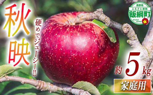 りんご 秋映 家庭用 5kg 相澤農園 沖縄県への配送不可 2025年9月下旬頃から2025年10月中旬頃まで順次発送予定 令和7年度収穫分 長野県 飯綱町 [1851]
