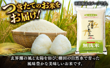 【佐賀県産米】令和5年産 無洗米 上場産こしひかり 計10kg（5kg×2袋） / お米 米 白米 コシヒカリ ふるさと納税米 / 佐賀県 / さが風土館季楽 [41AABE055]