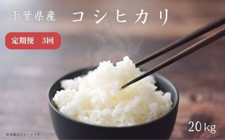 【定期便3回】《 令和7年産 》千葉県産コシヒカリ20kg ／ 米 こめ コメ お米 おこめ コシヒカリ こしひかり 令和7年 新米 白米 精米 ごはん 20kg 定期便 送料無料