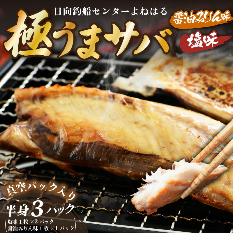【ふるさと納税】干物 鯖一夜干し 極うまサバ 半身3パック （塩味1枚×2パック 醤油みりん味1枚×1パック）【福井 天然 さば ひもの 日用 使い 冷凍 小分け 個包装 真空パック ご飯のお供 酒の肴 食べ比べ セット】お買い物マラソン 買い回り [m17-a029]