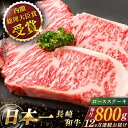 【ふるさと納税】【全12回定期便】 長崎和牛 ロースステーキ 総計9.6kg （約800g×12回）【ながさき西海農業協同組合】 [QAK042] 肉 和牛 牛肉 ロース 人気 BBQ バーベキュー 焼き肉焼肉 霜降り ステーキ さざちょう おすすめ 71万円 710000円