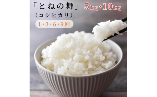 
                  《 令和7年産 》米 コシヒカリ 「 とねの舞 」 精米 5～10kg ／ 米 こめ コメ お米 おこめ コシヒカリ こしひかり とねの舞 白米 ごはん 令和7年産 5kg 10kg 茨城県 利根町 送料無料
                