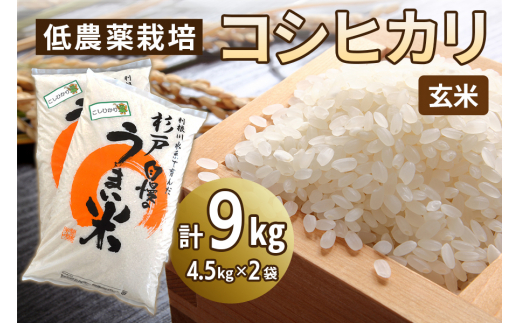 低農薬栽培 コシヒカリ 玄米＜9kg（4.5kg×2袋）＞ | おいしい お米 コメ ご飯 お取り寄せ 贈り物 上原農場 埼玉県 杉戸町