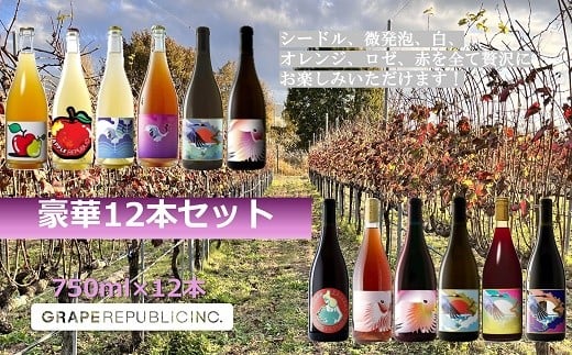 グレリパ 豪華 12本セット 750ml × 12本 『(株)グレープリパブリック』 シードル 微発砲ワイン 白ワイン オレンジワイン ロゼワイン 赤ワイン 山形県 南陽市 [2423]