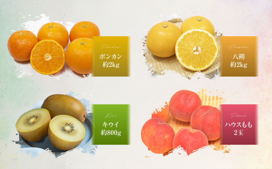 旬のフルーツ定期便 食べ比べセット 季節により厳選した果物を2品目詰め合わせ ／ 果物 くだもの 長崎県 長崎市