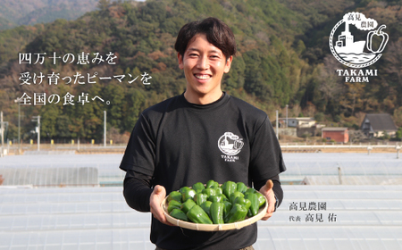 苦味が少なくておいしい！ 高見農園 のこだわり 新鮮 ピーマン 1kg 野菜 ベジタブル ぴーまん ハウス ハウスピーマン ハウス栽培 惣菜 国産 産地直送 旬 高知県 四万十 しまんと【発送時期：1