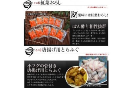3年とらふぐ特選フルコースセット 豪華10点盛り(5～6人前) 