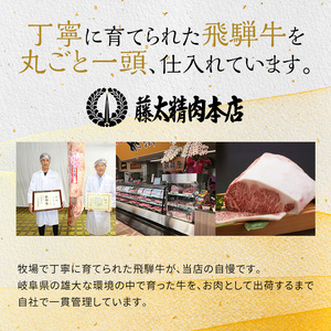 飛騨牛 モモ又は肩 すき焼き・しゃぶしゃぶ用 岐阜県産 飛騨牛【500g】