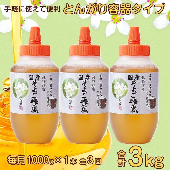 【全3回】 定期便 かの蜂 国産 そよご蜂蜜 合計3kg（とんがり容器1kgを毎月1本お届け）