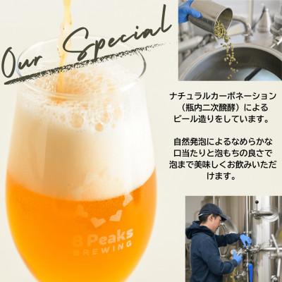 ふるさと納税 茅野市 【毎月定期便】大満足!八ヶ岳山麓のクラフトビール飲み比べ30本セット【合計360本】全12回 |  | 02