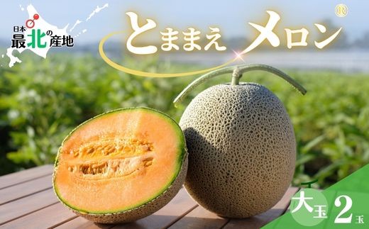 【2027年産 先行受付】とままえメロン 2玉 計3.2kg前後 大玉サイズ 北海道産 先行 予約 受付 赤肉 甘い 糖度14度 旬 産地直送 めろん フルーツ 果物 デザート 北海道 苫前町 とままえ rum09
