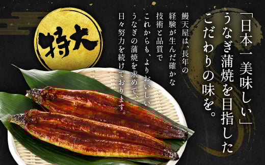 【5ヶ月定期便】九州産 うなぎ蒲焼 特大4尾 (1尾あたり220～235g)