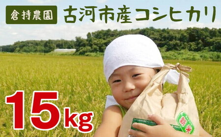 【令和7年産】古河市産 コシヒカリ15kg【倉持農園】 ｜  米 _AN02 ※2025年11月上旬頃より順次発送予定