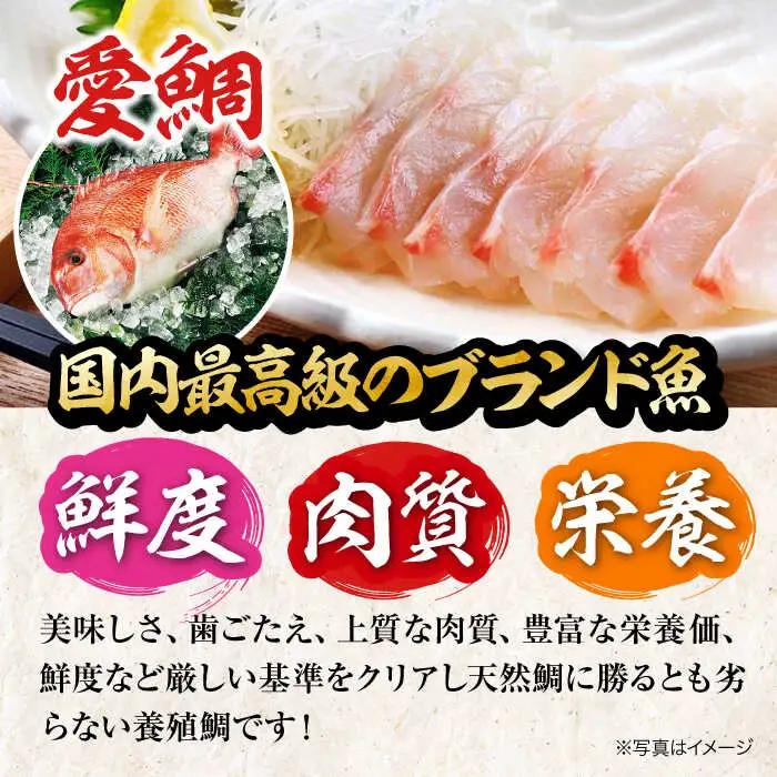 愛鯛 養殖真鯛1尾 冷凍 [AGDA001]