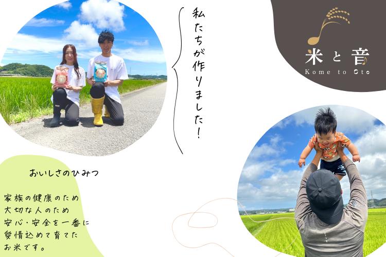 【2025年8月下旬－2026年8月下旬迄順次発送予定】【令和7年産】静岡県産コシヒカリ 精米 5kg （5kg×1袋）