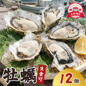 生食可 冷凍牡蠣 12個 殻付き牡蠣