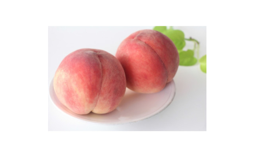 ＜2025年発送＞長野県 北信州の桃 約1.5kg(4～7玉)品種おまかせ　贈答にもおすすめ【1575716】