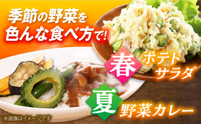 【全10回定期便】有機農法・旬の野菜詰め合わせ 五島市/ぷらっと農園 [PDS010]