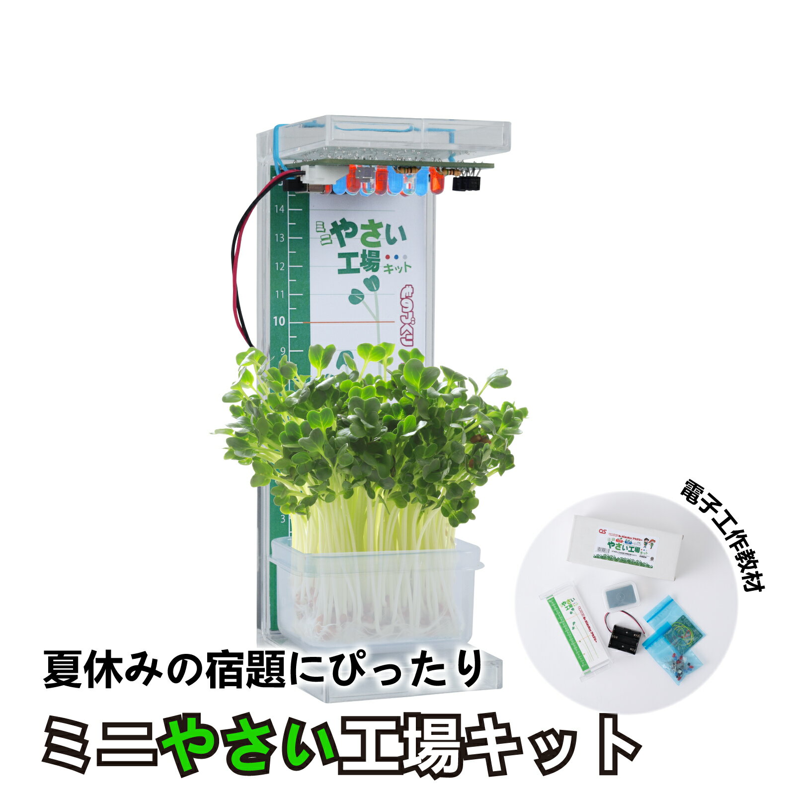 【ふるさと納税】電工作キット ミニやさい工場 キット学習教材 工作 夏休み 宿題 キット 学び 教材 手作り ものづくり 野菜 やさい 簡単 食育 LED AG21