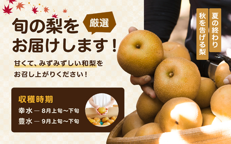 【2026年予約販売】溢れる果汁 ジューシーな 梨 幸水 豊水 秀品 約3kg〈2026年8月下旬～9月中旬発送〉| 長野県 飯田市